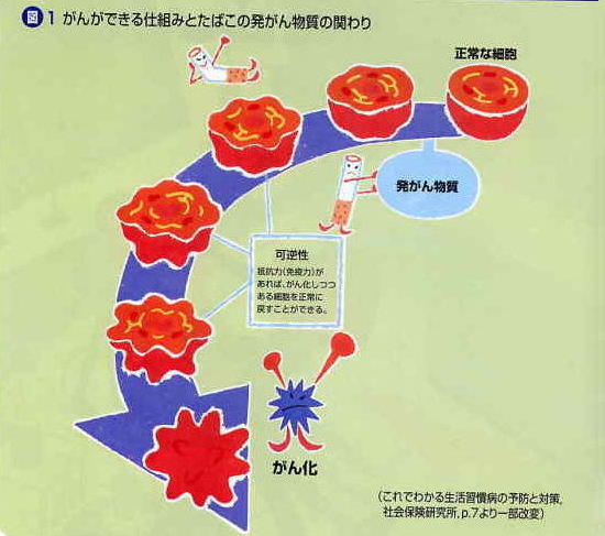 がんができる仕組みとたばこの発がん物質の関わり